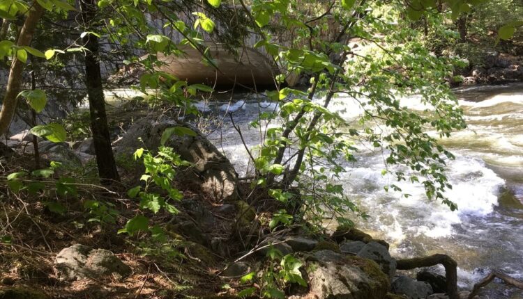 For our future, Pa. needs a robust Civilian Conservation Corps | Opinion