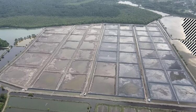 Adopting Asian shrimp farming techniques pays off for Guatemalan aquaculture pioneer