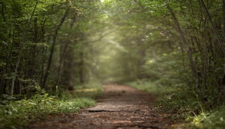 Pennsylvania among worst states in nation in outdoor economic value, says study