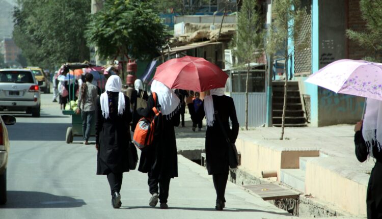 As the Taliban returns, 20 years of progress for women looks set to disappear overnight | Opinion