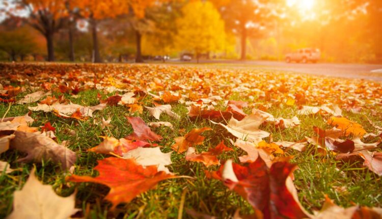 Pa. fall foliage reports to debut Sept. 30 | Five for the Weekend
