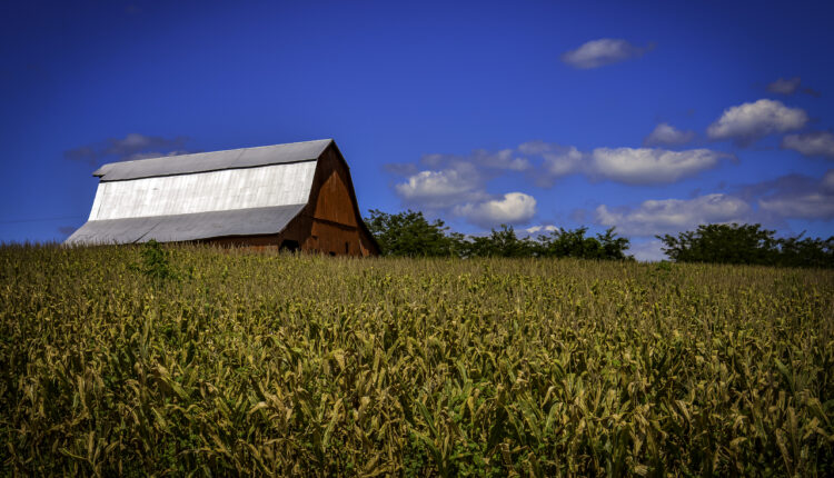 Pa. ranks 2nd among states for direct-to-consumer sales | Five for the Weekend