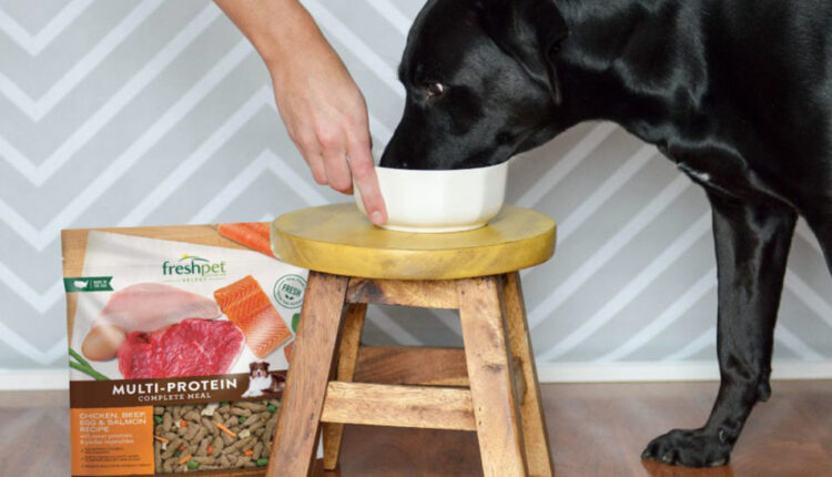  Freshpet restructures personnel |  Pet Food Processing
