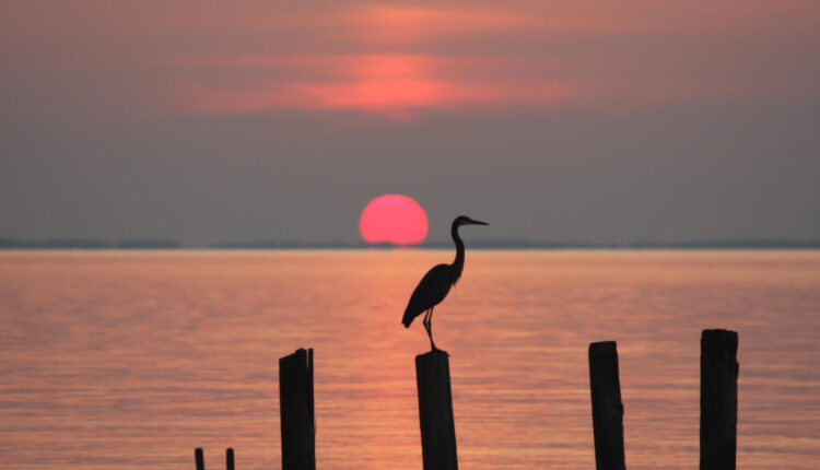Chesapeake Bay advocates praise feds for new conservation funds 