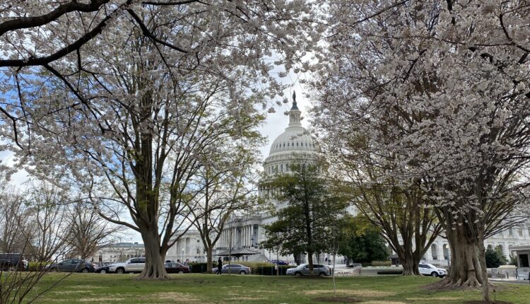 U.S. House approves debt limit package, sending it to Senate days before default deadline